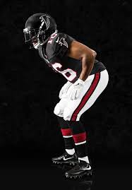 Image result for Falcons Black