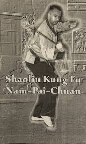 Image result for Shaolin Nam Pai Chuan Kung Fu - Manchester Martial Arts Centre