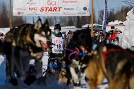 Image result for Team Ice Fire British Sled Dog Racing Team