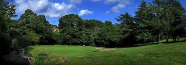 Image result for The Shipley Club