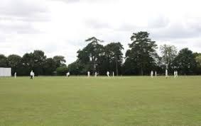 Image result for Halstead Colts Cricket Club