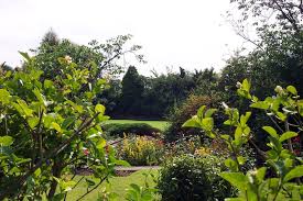 Image result for Haynes Park Bowling Club