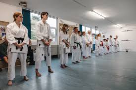 Image result for MIDDLESBROUGH KARATE ACADEMY