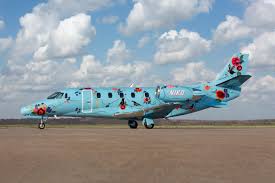 Image result for Newbury & District Model Aircraft