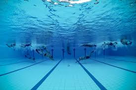Image result for FXU Underwater Hockey
