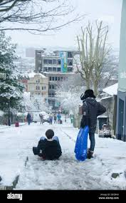 Image result for ninetree hill bristol