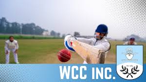 Image result for Buckhorn Weston Cricket Club