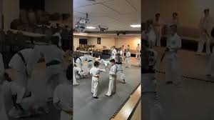 Image result for Norfolk Jikishin Ju Jitsu Club