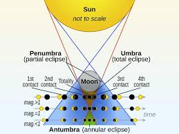 Attēlu rezultāti vaicājumam “Panolis umbra”