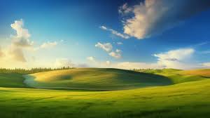 Image result for free wallpaper