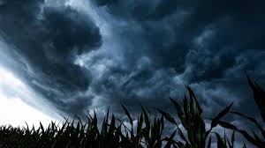 Image result for wetter