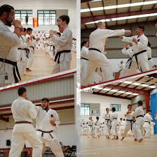 Image result for Woodley Karate Club