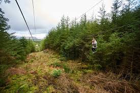 Image result for Go Ape! Grizedale