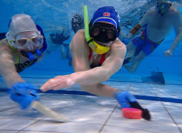Image result for Caversham Underwater Hockey Club