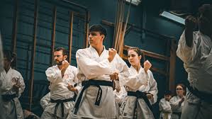 Image result for Shitokai Karate Club
