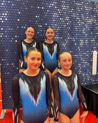 Image result for Bicester and District Gymnastics Club