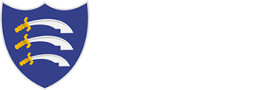 Image result for Ruislip Rfc