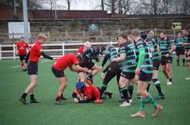 Image result for Lymm Rugby Union Football Club