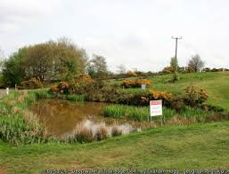 Image result for Stanedge Golf Club