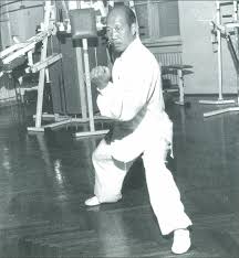 Image result for WUQI KUNG FU AND HEALTH SOCIETY