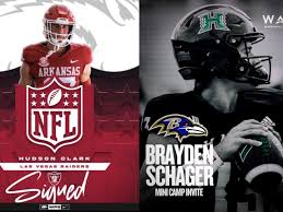 Image result for Herdings Park Football Club