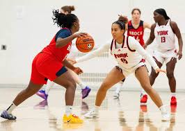 Image result for York University Gymnastics Club