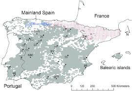 Attēlu rezultāti vaicājumam “Lepus sp.”