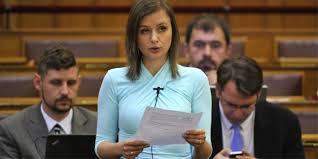 Image result for dúró dóra