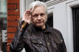 Image result for julian assange