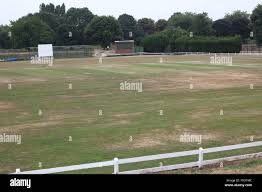 Image result for Bedworth Cricket Club