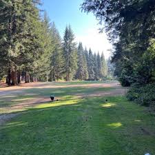 Image result for Delphi Bowls Club