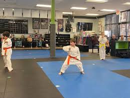 Image result for IXL Martial Arts