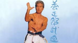 Image result for Yoseikan Budo England