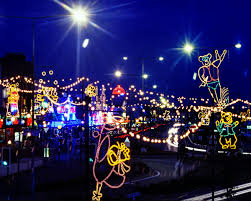 Image result for Blackpool Lights Basketball Club