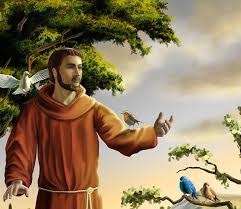 Image result for foto são francisco