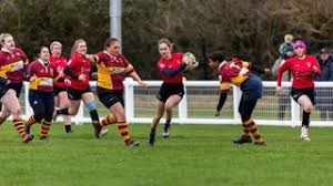 Image result for Rochford Hundred Rugby Club