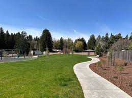 Image result for Surrey Bowmen