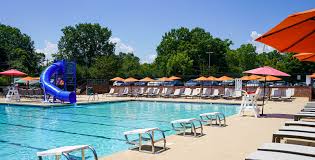 Image result for Belgrave Swimming Club