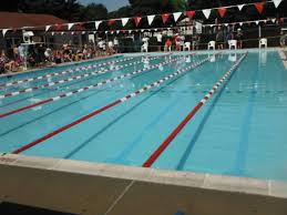 Image result for Chesterfield Swimming Club