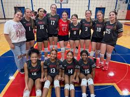 Image result for Belton Ladies Netball Club