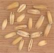 Oat - Wikipedia, the free encyclopedia