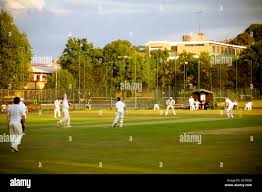 Image result for London Fields Cricket Club