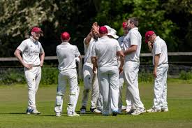 Image result for Worlingworth Cricket Club