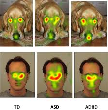 Image result for heat map eye