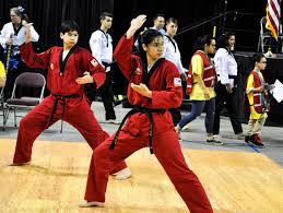 Image result for Taekwondo Athletes Program USA