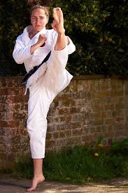 Image result for GoJu-Kai Karate Club