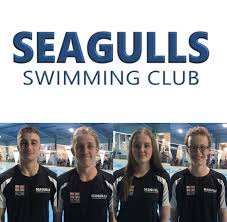 Image result for Hastings Seagulls Swimming Club