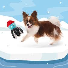 Image result for Tyddewi Octopush Club