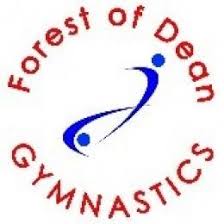 Image result for Forest Of Dean Gymnastics Club