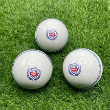 Image result for South Shore Cricket Club